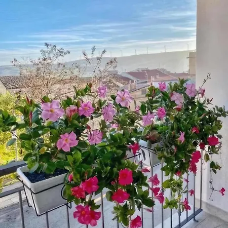 La Veranda Fiorita *